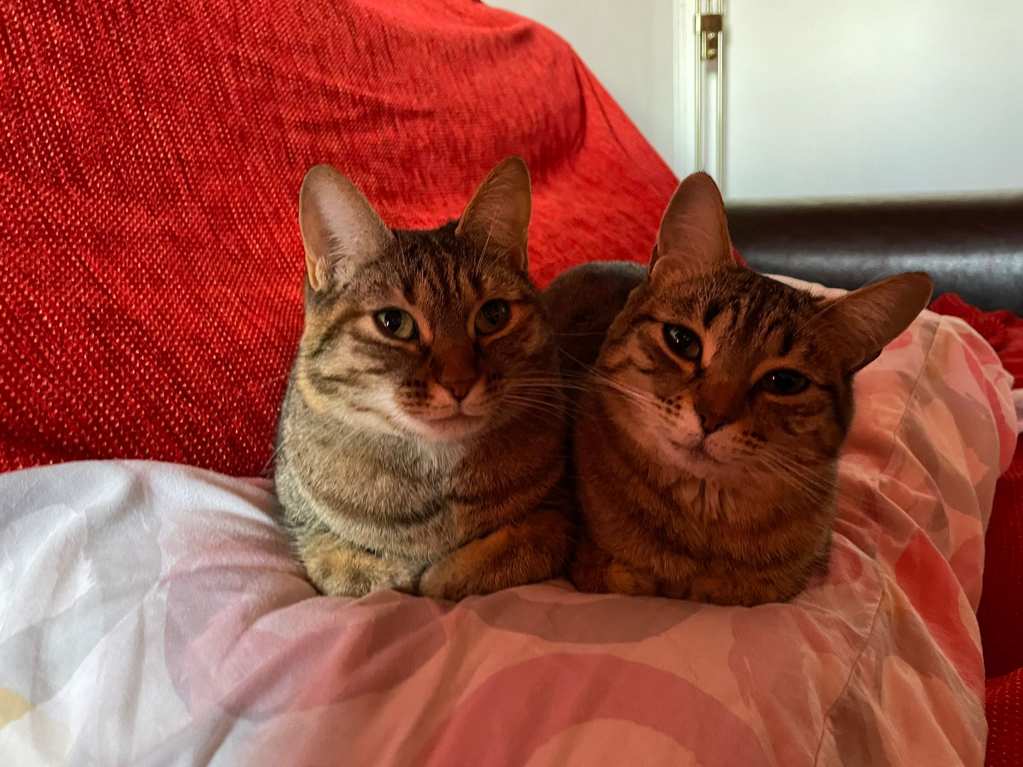 <em>Almudena R.</em>